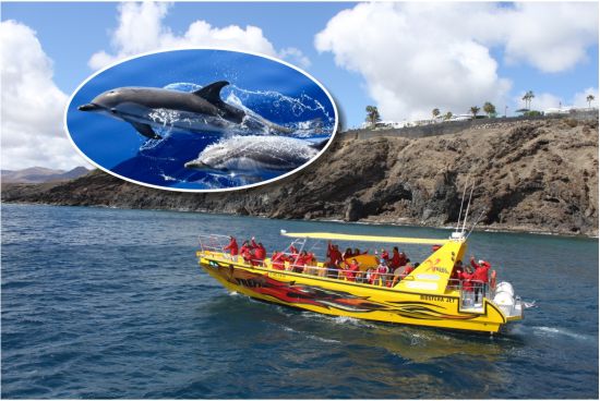 excursión minicrucero delfines