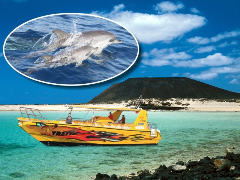 excursión isla de lobos