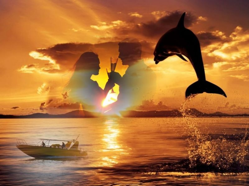 excursión delfines y puesta de sol
